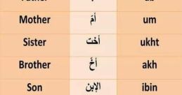 Learn Arabic Vocabulary