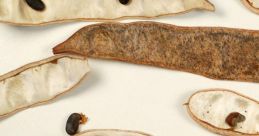 Split Ends_Pod