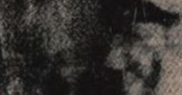 Vbcbvcvbvc