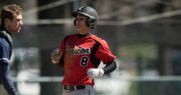 Panther Baseball for High School Baseball Team.
