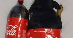 Coca Cola Meme A about Coca Cola Meme.
