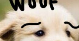 Woof