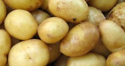 Potato