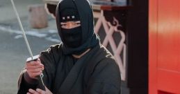 Ninja
