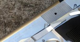 Gun