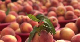 Peach