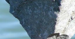 Rock