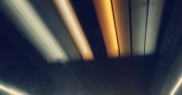 Speed