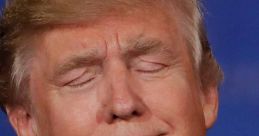 Donald Donald and effects.