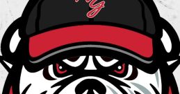 North Gwinnett Bulldogs logo featuring a fierce bulldog wearing a cap, symbolizing team spirit and pride.
