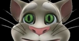 Old Talking Tom