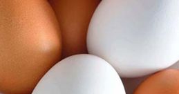 Egg
