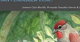Bird Songs of the Yucatan Peninsula, Mexico