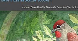 Bird Songs of the Yucatan Peninsula, Mexico