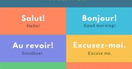 Basic French Phrases