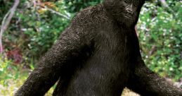 Bigfoot