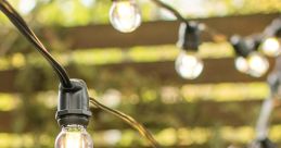 Lights