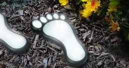 Footsteps - Outdoor