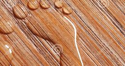 Footsteps On Wood