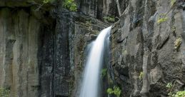Falls
