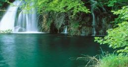 Nature Scenes