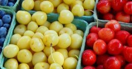 Variety