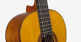 Guitars