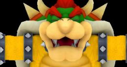Bowser - New Super Mario Bros. 2 - Character Voices (3DS)