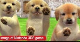 Pet Effects - Nintendogs + Cats - Pets (3DS)