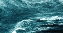 Effects - Bermuda Triangle: Saving the Coral - Effects (DS - DSi)