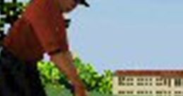 Effects - Tiger Woods PGA Tour 08 - Miscellaneous (DS - DSi) Effects - Tiger Woods PGA Tour 08 - Miscellaneous (DS - DSi)