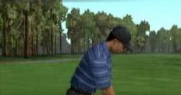 Effects - Tiger Woods PGA Tour 2005 - Miscellaneous (DS - DSi)