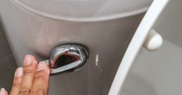 Toilet Flushing