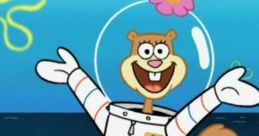 Sandy Cheeks