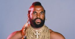Mr T