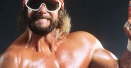 Randy Savage Randy Savage to play and download.