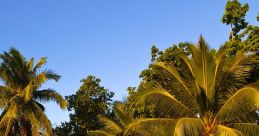 Madagascar