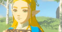 Character - The Legend of Zelda: Breath of the Wild - Effects (Nintendo Switch)