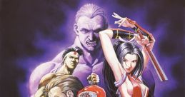 Effects - Fatal Fury Special - Miscellaneous (Game Gear)