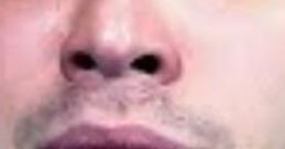 Alanzoka