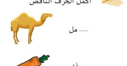 Random ج