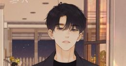 Random 桑
