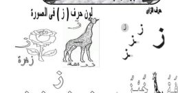 Random ز