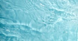 Random 水