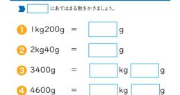 Random 重