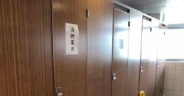 Random 廁