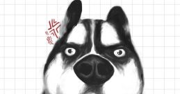 Random 哈