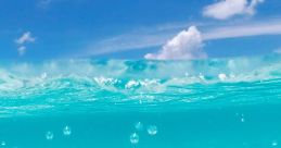 Random 海