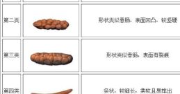 Random 便