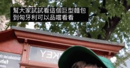 Random 嚐 The of "嚐嚐" rings out clearly, echoing through the room with a playful energy. It is a vibrant and lively
